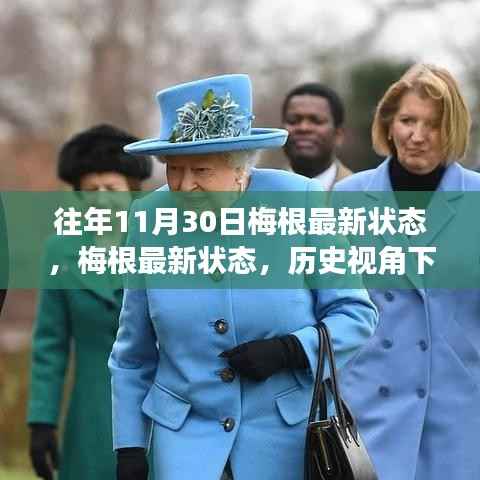 梅根最新状态深度解析与个人观点,历史视角下的观察与反思