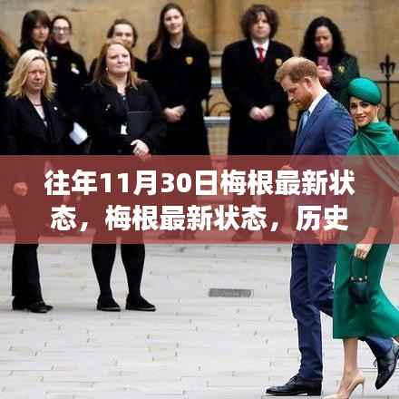 梅根最新状态深度解析与个人观点,历史视角下的观察与反思