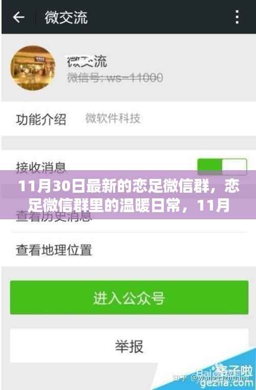 恋足微信群里的欢乐时光,11月30日的温暖日常