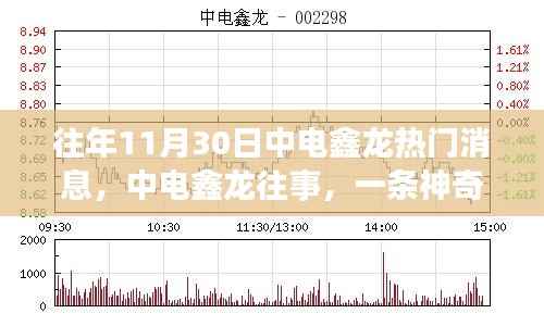 中电鑫龙往事揭秘,神奇的日子与友情的光辉闪耀在十一月三十日这一天