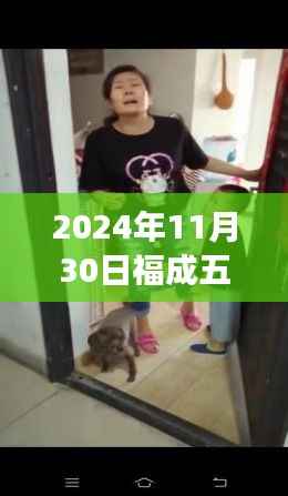 2024年11月30日福成五丰最新,福成五丰最新动态下的深度解析,一场行业变革的启示