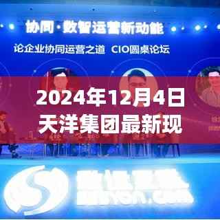 天洋集团揭秘，数字化时代的蓬勃发展之路（最新现状报告）