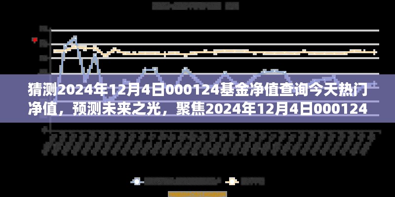 聚焦未来,2024年12月4日000124基金净值展望与热门净值背后的故事解析
