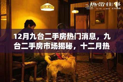 揭秘九台二手房市场,十二月热门消息与趋势洞察