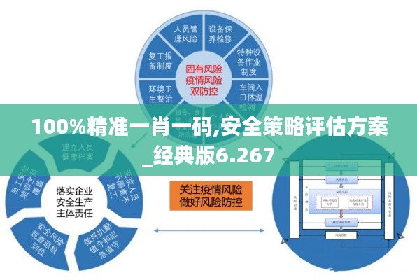 100%精准一肖一码,安全策略评估方案_经典版6.267