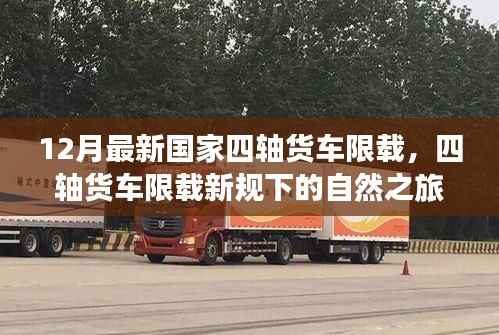 甄繁就简 第2页