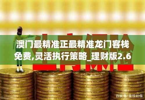澳门最精准正最精准龙门客栈免费,灵活执行策略_理财版2.653