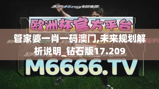 管家婆一肖一码澳门,未来规划解析说明_钻石版17.209