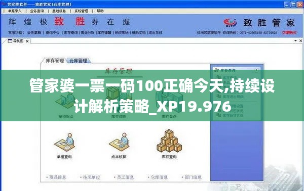 管家婆一票一码100正确今天,持续设计解析策略_XP19.976