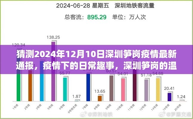 深圳笋岗疫情下的温馨时光与日常趣事,最新通报猜测(2024年12月10日)