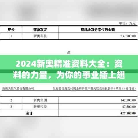 2024新奥精准资料大全:资料的力量,为你的事业插上翅膀