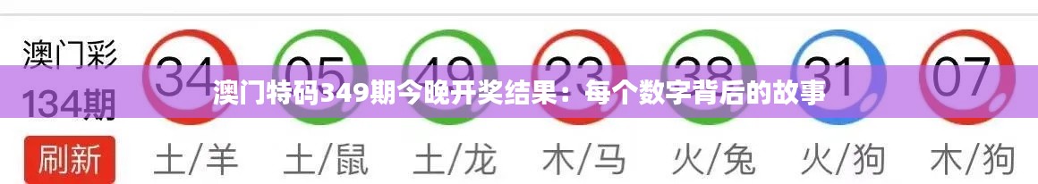 澳门特码349期今晚开奖结果:每个数字背后的故事