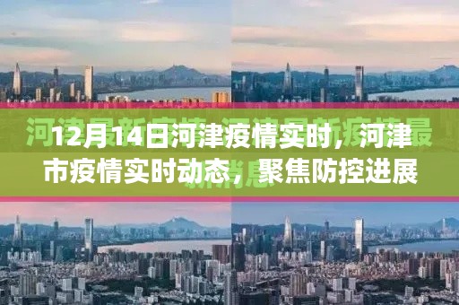 河津市疫情实时动态更新,防控进展与公众关注焦点聚焦