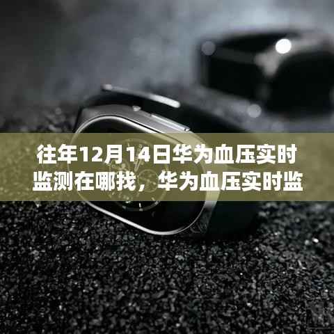 华为血压实时监测功能使用指南，回顾往年12月14日功能并寻找实时监测位置