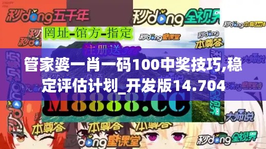 管家婆一肖一码100中奖技巧,稳定评估计划_开发版14.704