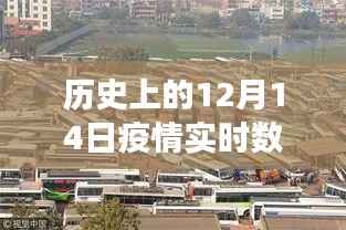 苏州隐秘小巷里的抗疫故事,历史数据与探索之旅的交汇点