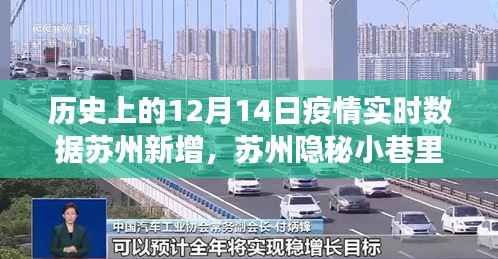 苏州隐秘小巷里的抗疫故事,历史数据与探索之旅的交汇点