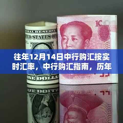 中行历年12月14日购汇指南及实时汇率概览