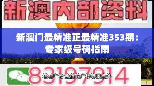 新澳门最精准正最精准353期:专家级号码指南