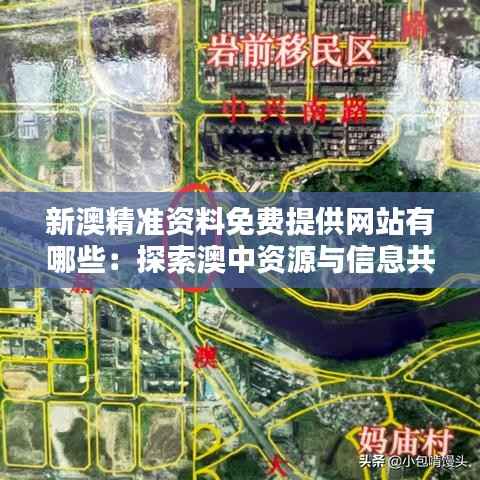 新澳精准资料免费提供网站有哪些:探索澳中资源与信息共享的优质平台
