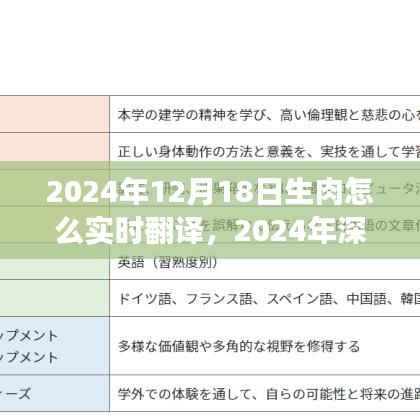 实时翻译助探秘,深冬之旅的肉质翻译指南与心灵净土的探寻