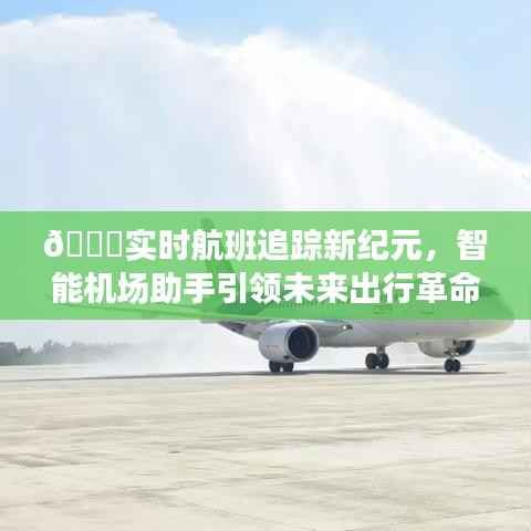 智能机场助手引领未来出行革命，实时航班追踪新纪元开启