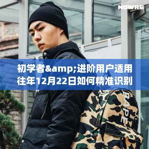 如何精准识别实时照片的步骤指南,适用于初学者与进阶用户(往年12月22日版)