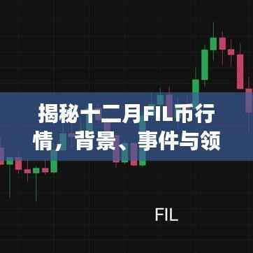揭秘十二月FIL币行情深度分析，背景、事件与领域地位全解析