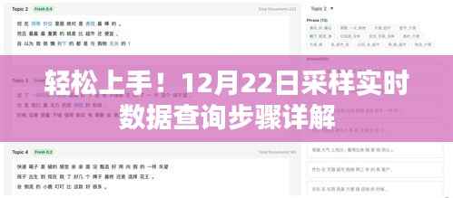 轻松上手！实时数据查询步骤详解（12月22日采样）