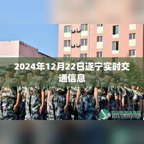 水浄鹅飞 第3页