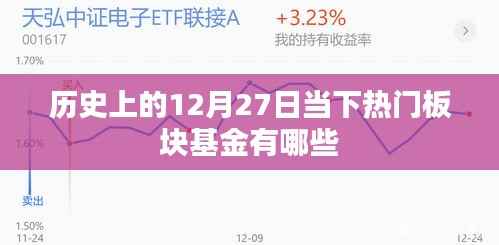 热门板块基金在历史上的表现与趋势分析