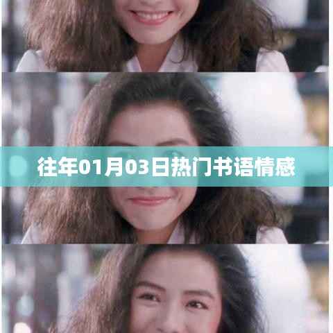 『历年书语情感热点回顾,一月三日情感风潮』