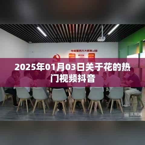 2025年元旦后热门花卉视频席卷抖音