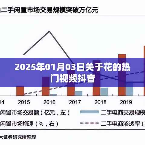 2025年元旦后热门花卉视频席卷抖音