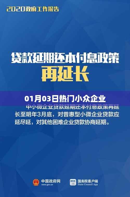 01月精选,热门小众企业风采展示