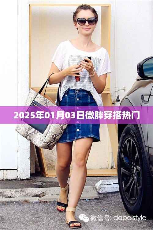 2025年1月3日,微胖女孩的时尚穿搭指南