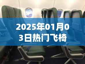 『2025年元旦后热门飞椅,时尚新潮必备』