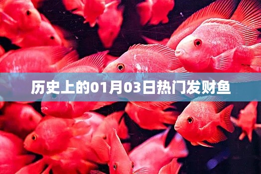 发财鱼的历史,探寻热门日期背后的故事