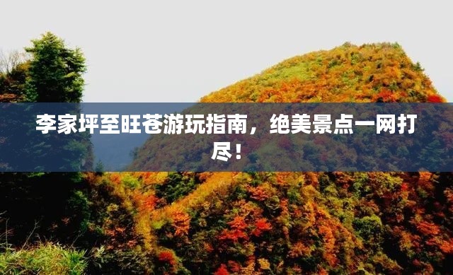 李家坪至旺苍游玩指南,绝美景点一网打尽!