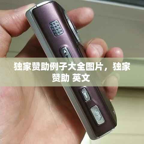 独家赞助例子大全图片,独家赞助 英文