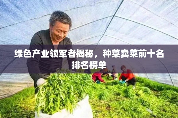 蝇声蛙噪 第2页