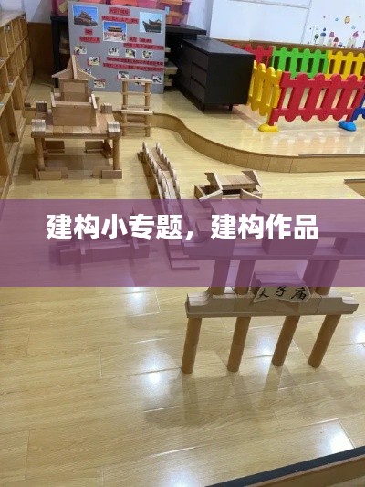 建构小专题,建构作品