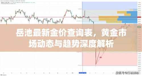 岳池最新金价查询表,黄金市场动态与趋势深度解析