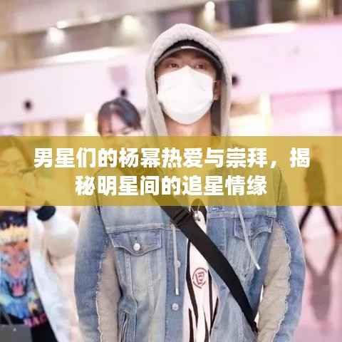 男星们的杨幂热爱与崇拜,揭秘明星间的追星情缘