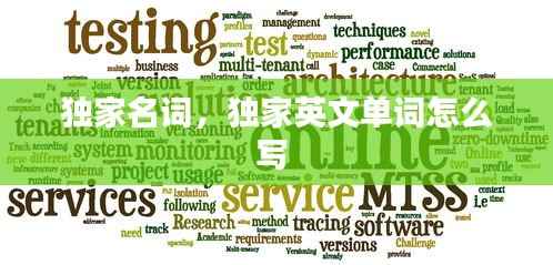 独家名词,独家英文单词怎么写