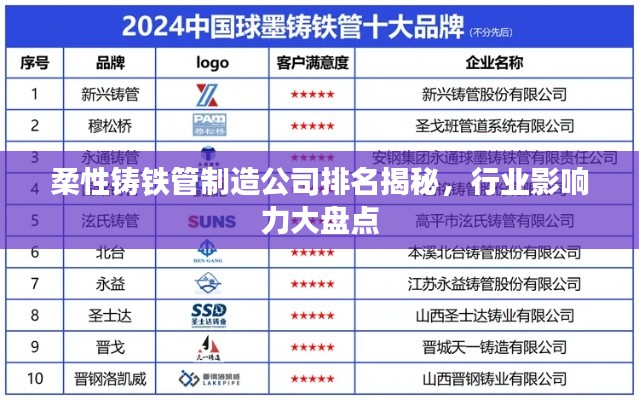 柔性铸铁管制造公司排名揭秘,行业影响力大盘点