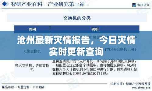 沧州最新灾情报告，今日灾情实时更新查询