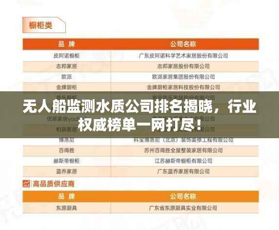 无人船监测水质公司排名揭晓,行业权威榜单一网打尽!