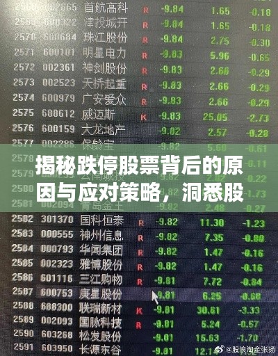 揭秘跌停股票背后的原因与应对策略,洞悉股市风云,把握投资先机