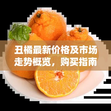 丑橘最新价格及市场走势概览,购买指南全解析